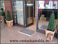 vestacka stabla